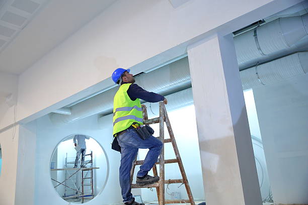 Best Eco-Friendly and Low-VOC Painting  in Pinckneyvle, IL